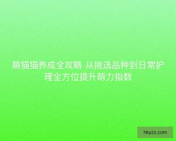 萌猫猫养成全攻略 从挑选品种到日常护理全方位提升萌力指数